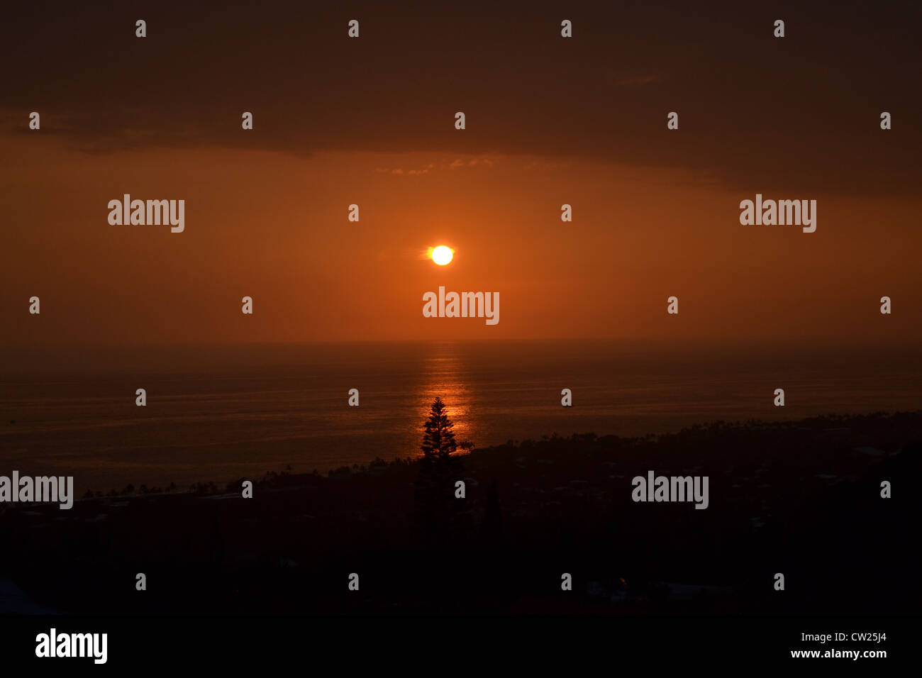 Glowing Kona sunset framing an onshore pine tree Stock Photo Alamy