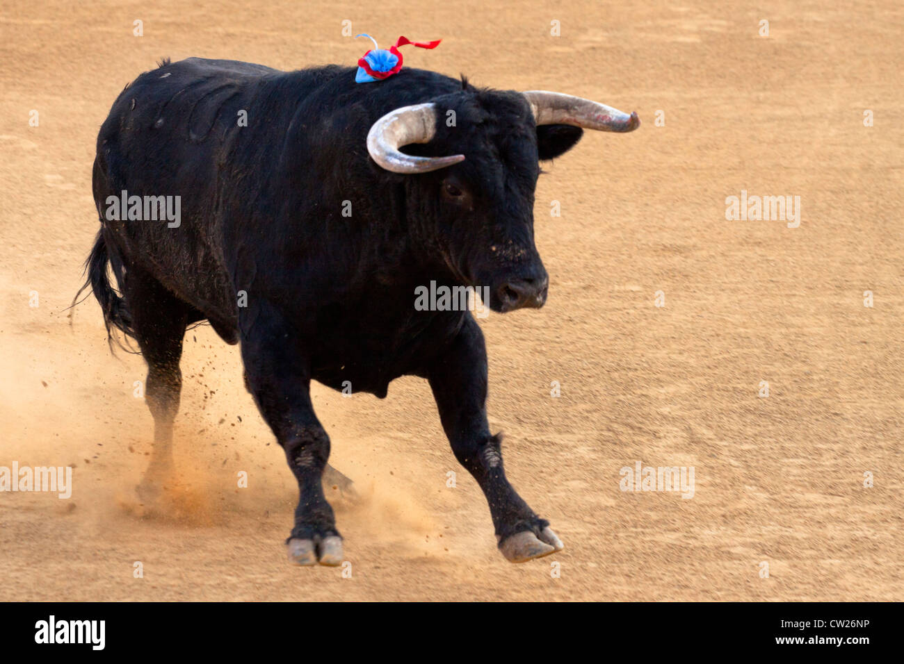 Bullfighting in Spain. 21 July 2012, La Linea de la Concepcion, Spain. Stock Photo
