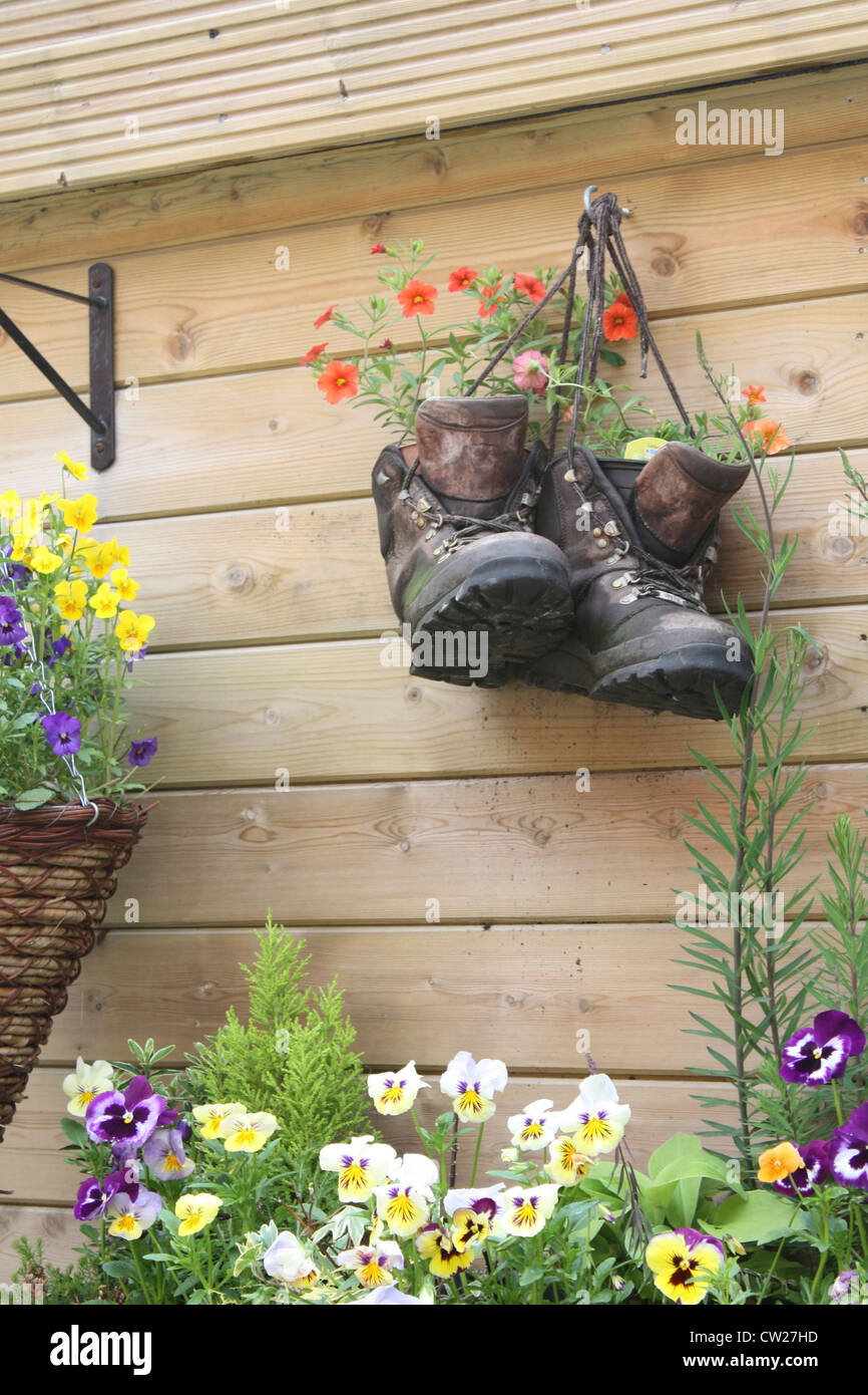 Flowers growing in an old boot Stock Photo - Alamy
