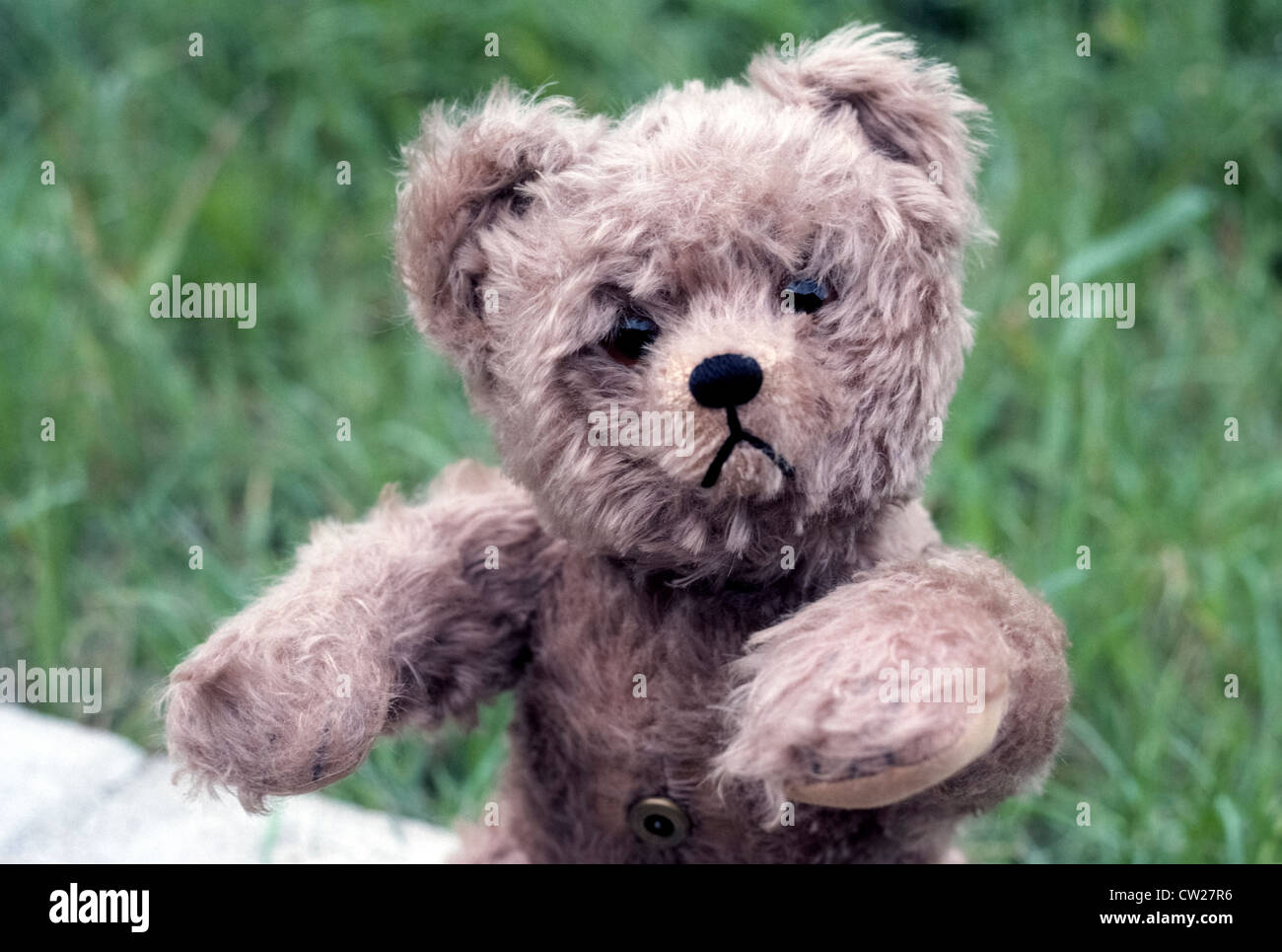 This sad mohair Teddy Bear is hoping for a hug. Stock Photo
