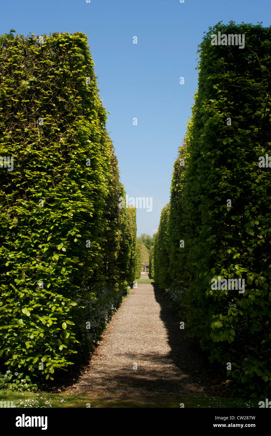 Tall hedges at Levens Hall and Gardens, Cumbria, England Stock Photo