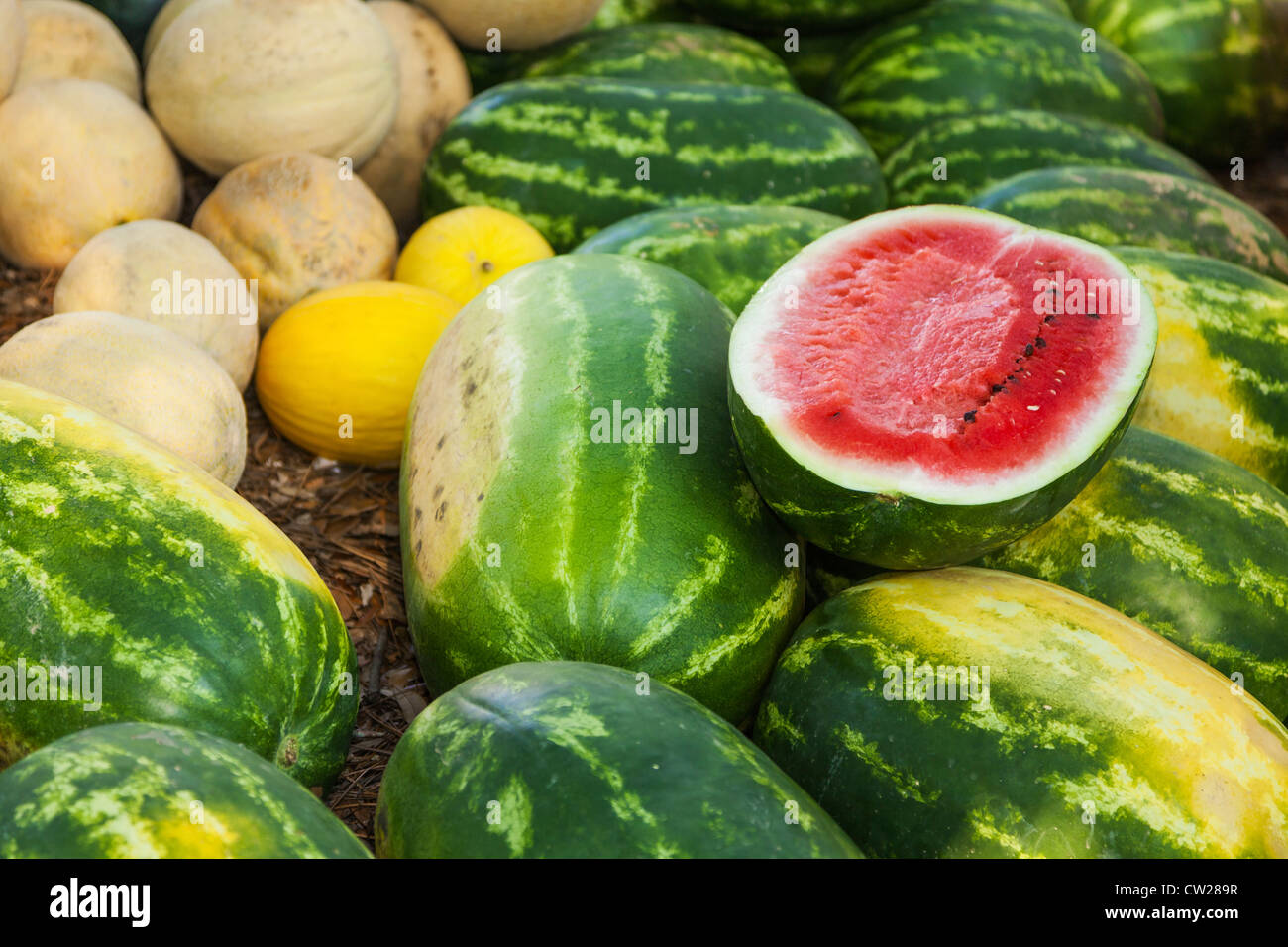 Watermelons and Cantaloupes for sale at open air Farmers Market Stock