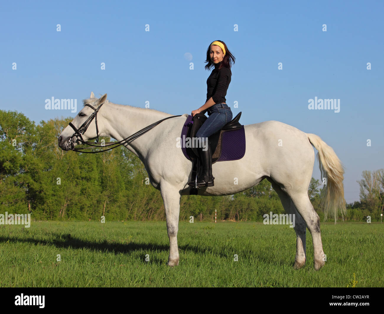 Oriental  riding