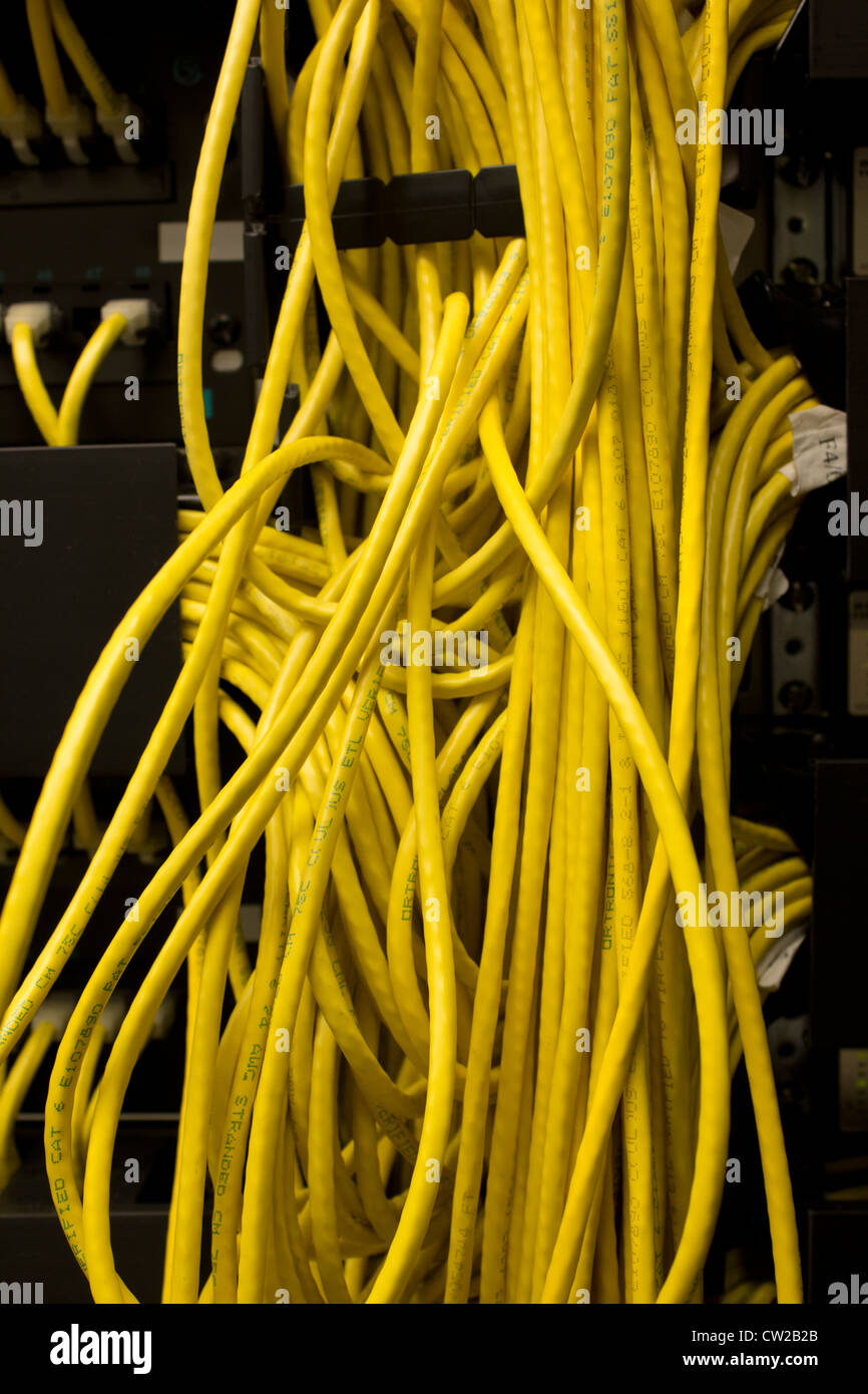 Yellow network cables in a server room Stock Photo
