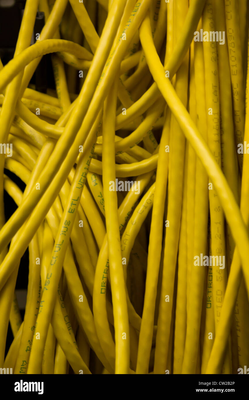 Yellow network cables in a server room Stock Photo