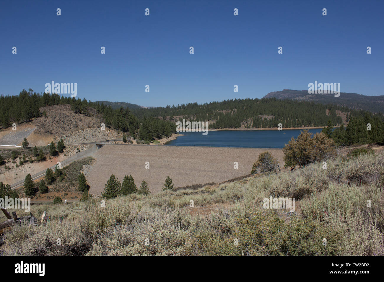 A reservoir in the forest. Frenchmans Lake in California Stock Photo Alamy