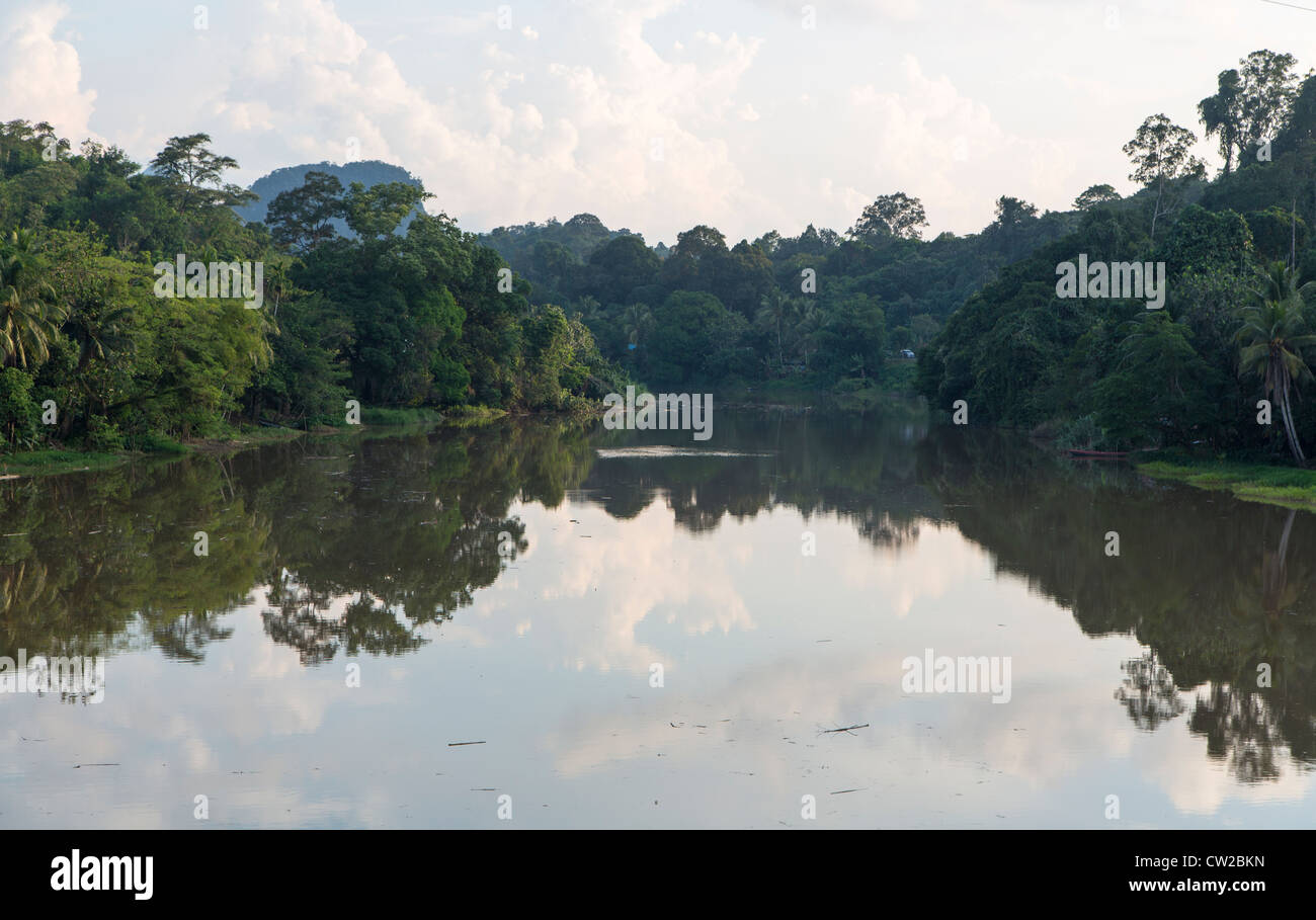 Jungle reflection on a river in Sarawak, Borneo Malaysia Stock Photo ...