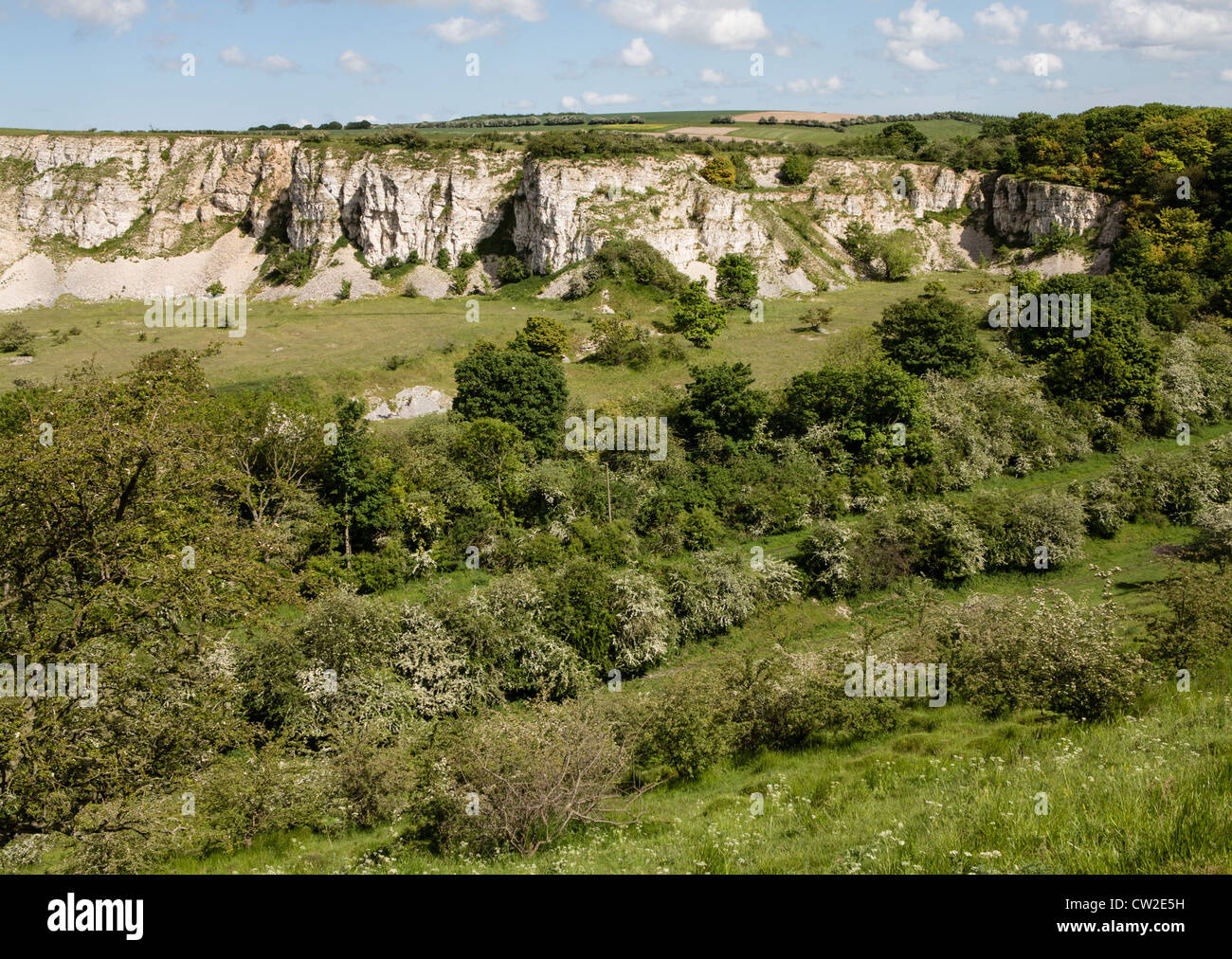 Disused chalk quarry on the Yorkshire Wolds at Burdale Warren Stock Photo
