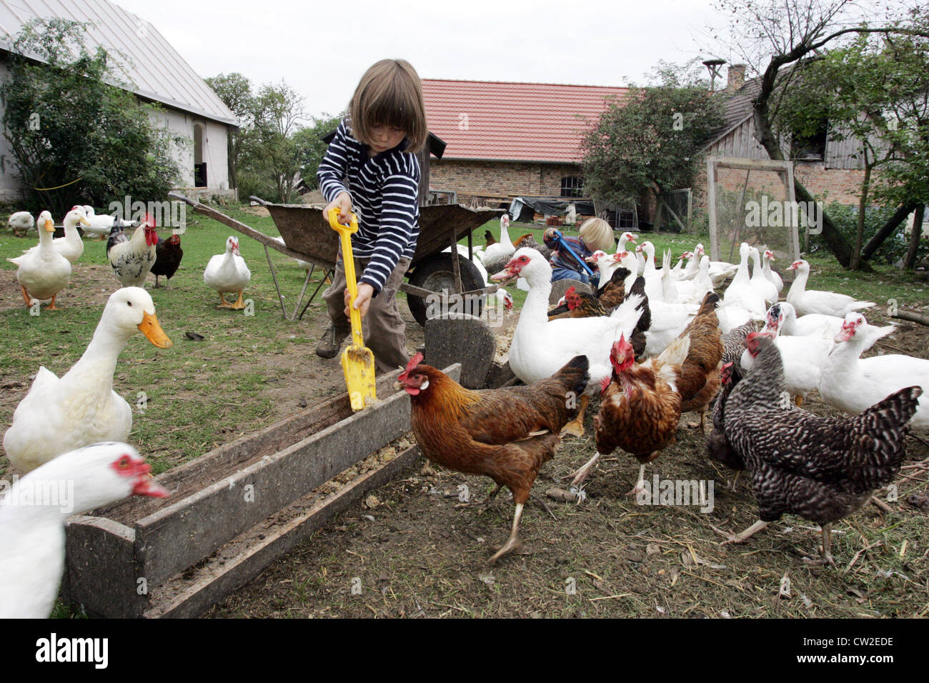 Resplendent village, children feeding chickens and ducks on the farm