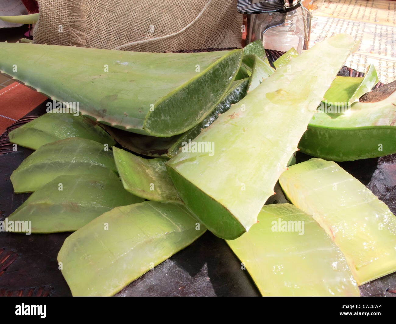 100 aloe vera cream Plunkett's Hi-Potency Aloe Vera main image 1