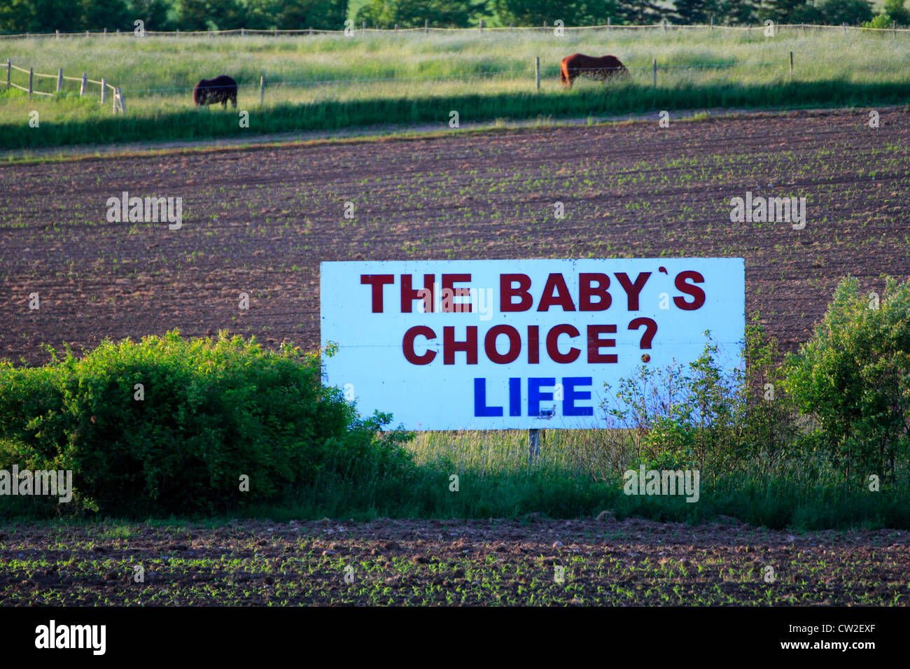 A Pro-Life movement anti-abortion sign in Nova Scotia saying The Baby's Choice - Life Stock Photo