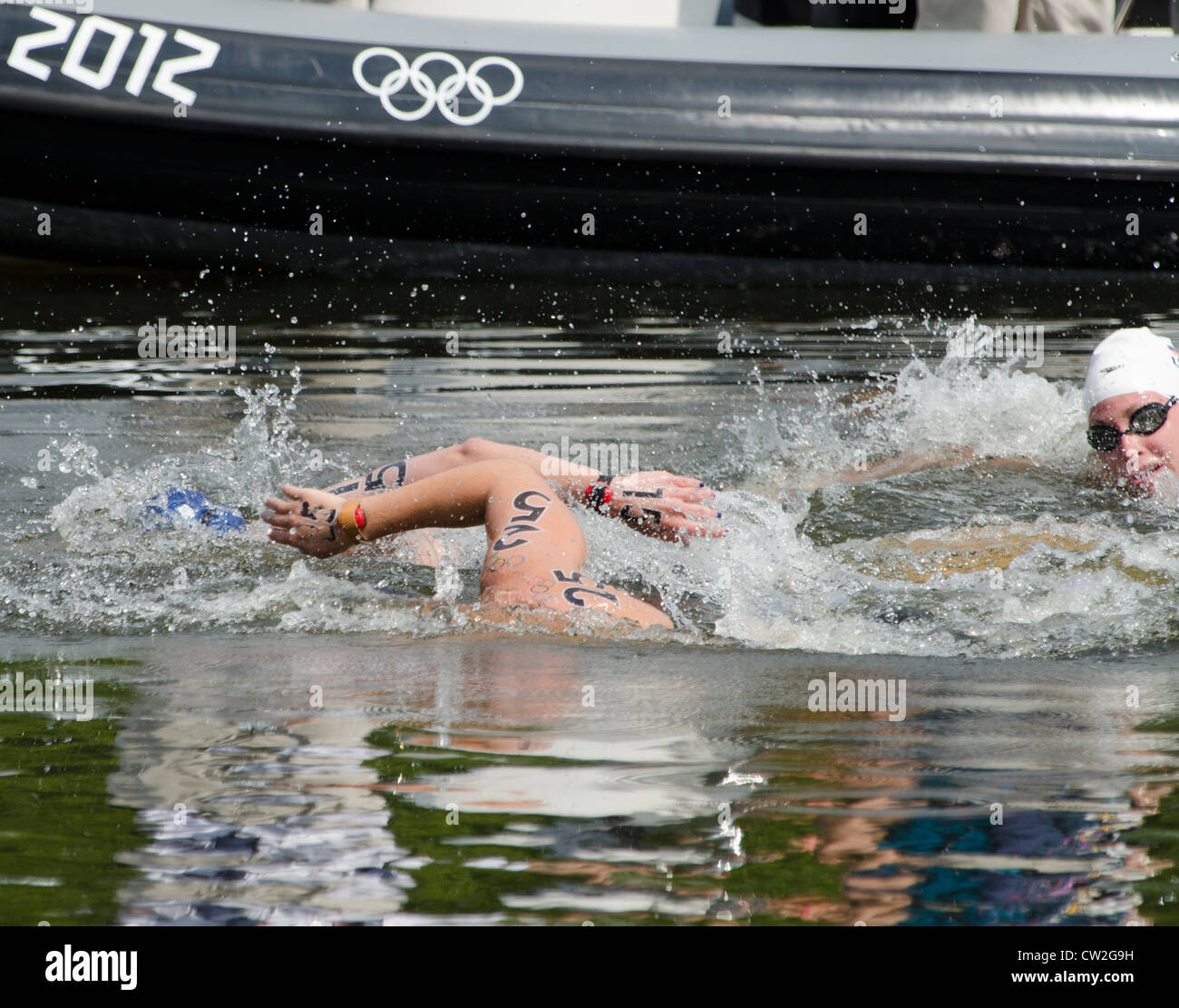 Women's 10km open water marathon swim London 2012 Olympics Hyde Park Serpentine lake, London Uk Stock Photo