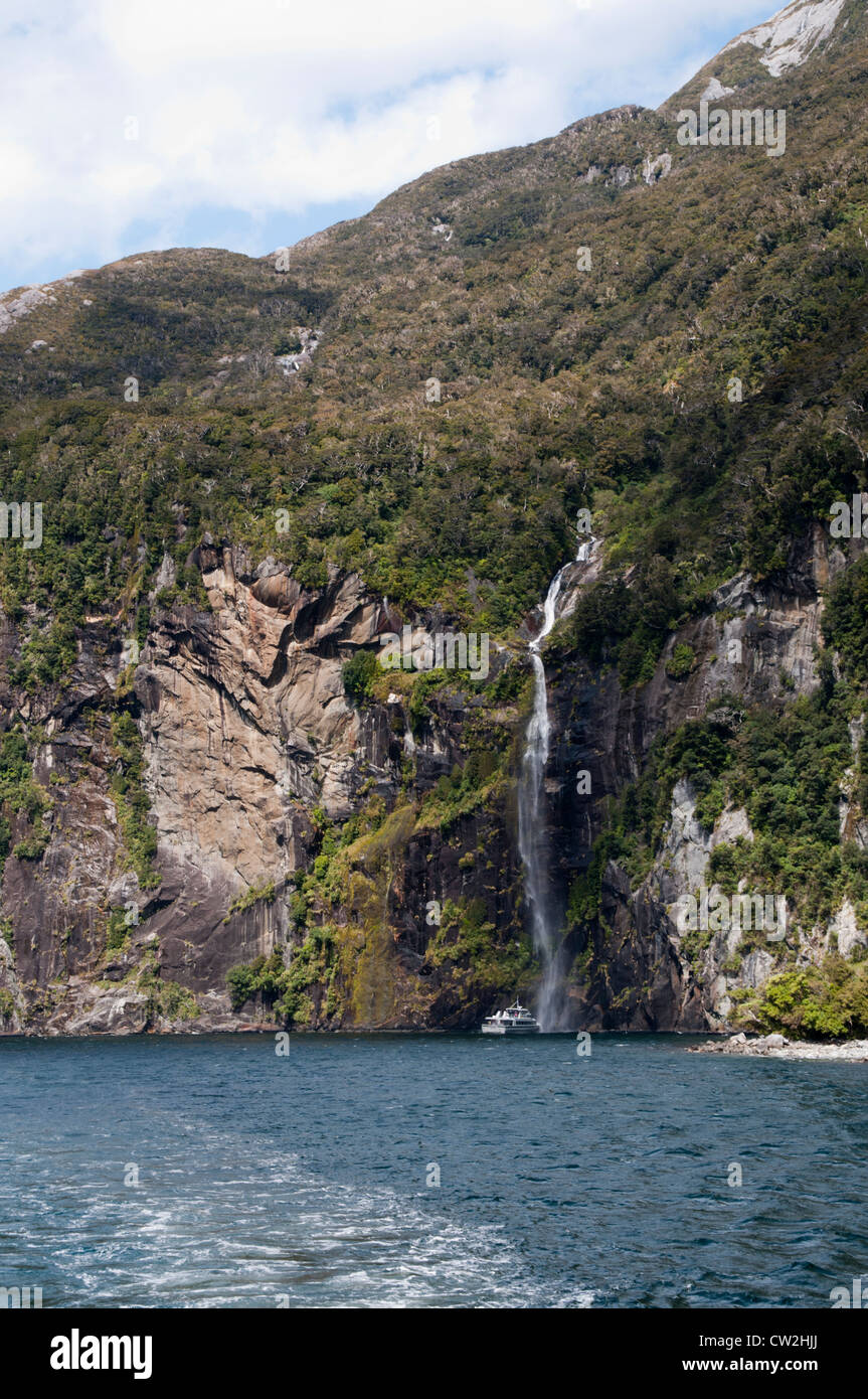 Not deceived milford sound neuseeland fotos Are milford sound neuseeland fotos