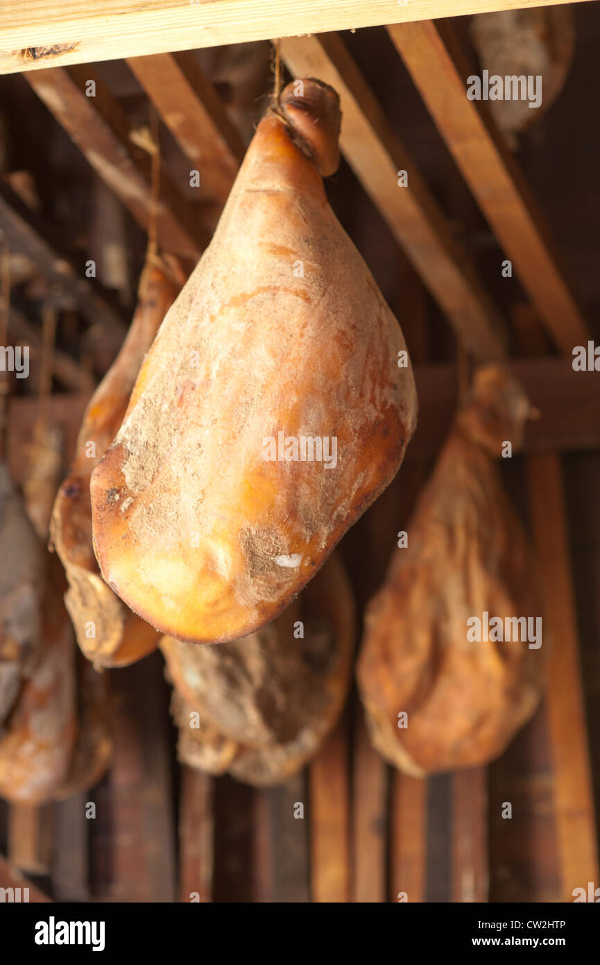Salt cured ham hanging in shed  Stock Photo