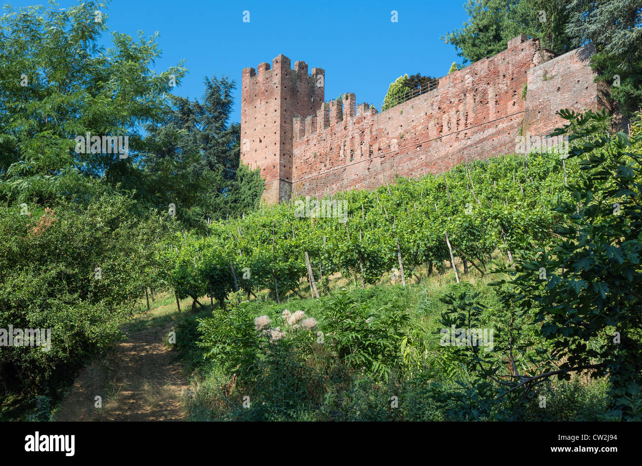 castello di san colombano al lambro