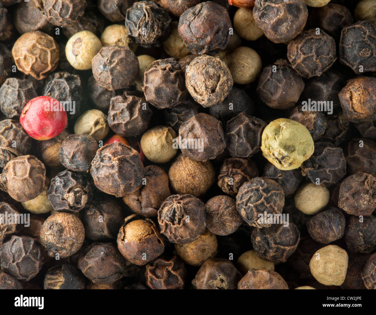 Mixed red, white and black pepper corn seeds in macro photo Stock Photo