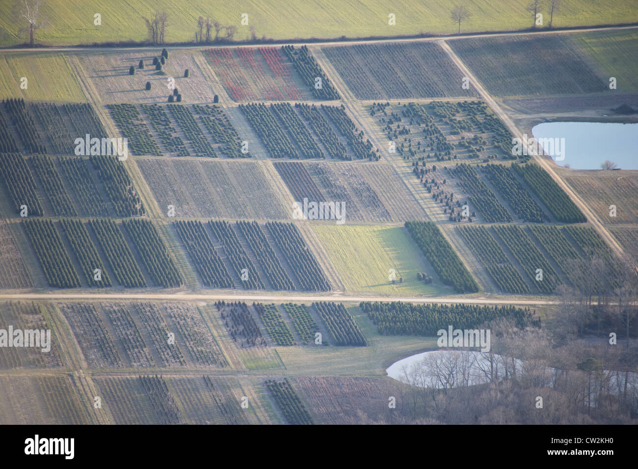 Aerial view of crops on a farm Stock Photo