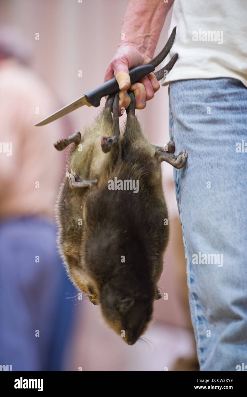 Man carrying muskrats and knives for skinning at the National Outdoor Show and World Muskrat