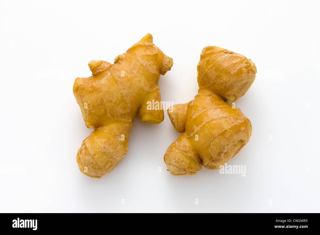 Root ginger plants zingiber hi-res stock photography and images - Alamy
