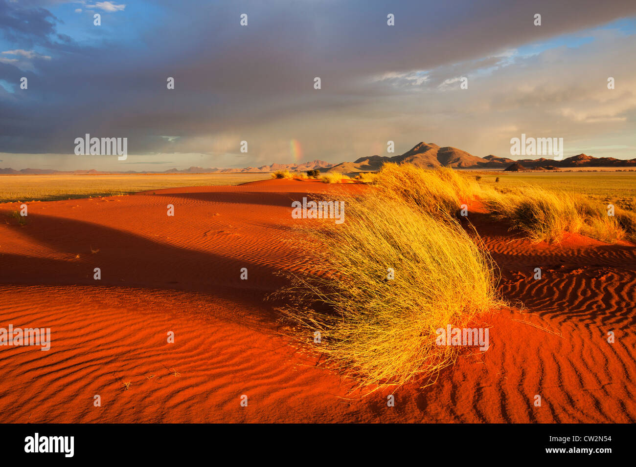Sunset scenery showing the unique ecology of the south-west Namib desert or pro -Namib. NamibRand Nature Reserve, Namibia Stock Photo