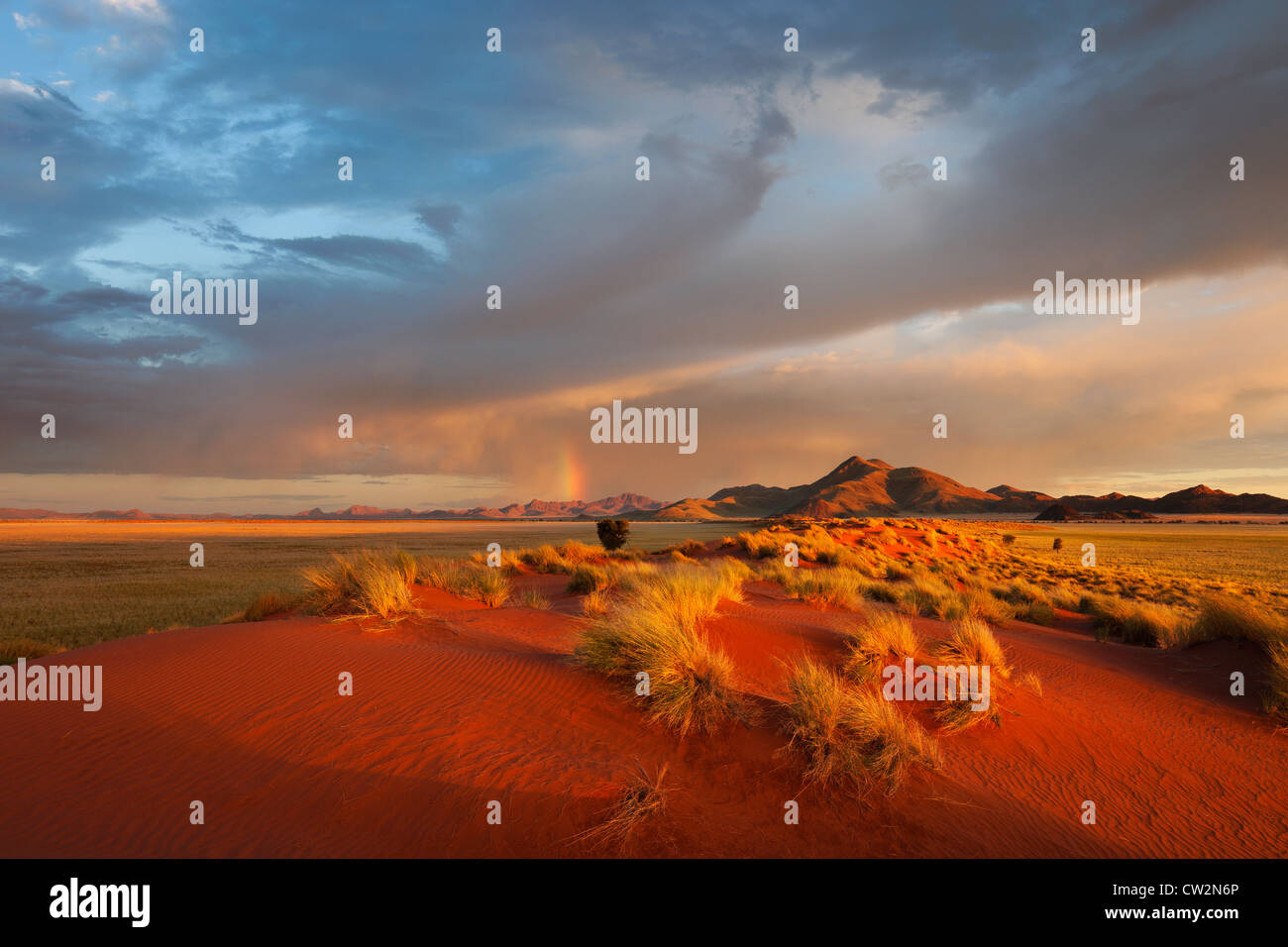 Sunset scenery showing the unique ecology of the south-west Namib desert or pro -Namib. NamibRand Nature Reserve, Namibia Stock Photo