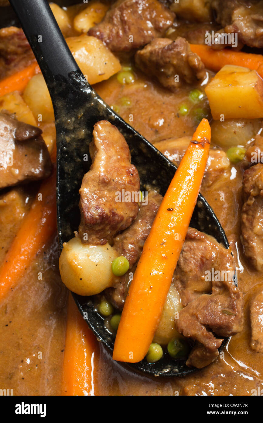 Navarin Printanier, French lamb stew with potatoes, turnips and carrots