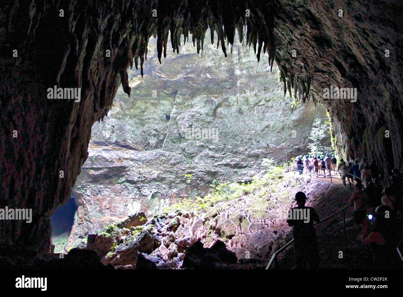 Insight Guide to PUERTO RICO - picture by GLYN GENIN Insight/APA Rio Camuy Cave Park Cueva Clara Stock Photo