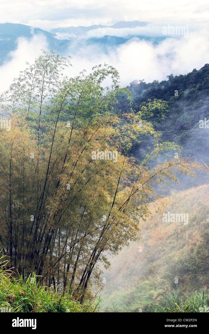 PUERTO RICO -  CORDILLERA CENTRAL Mist in the mountains Stock Photo