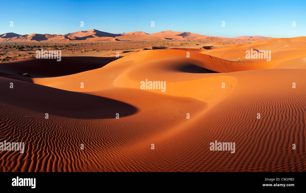 Intricate dune pattern lit up by morning sun. Sossusvlei in the Namib desert. Namib-Naukluft N.P, Namibia Stock Photo