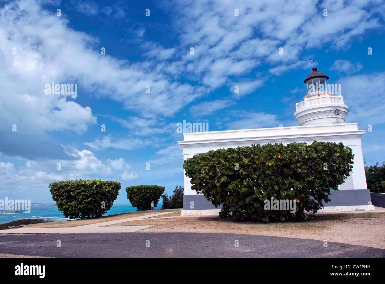 LAS CABEZAS de SAN JUAN NATURE RESERVE (El Faro) at Fajardo managed by the Conservation Trust