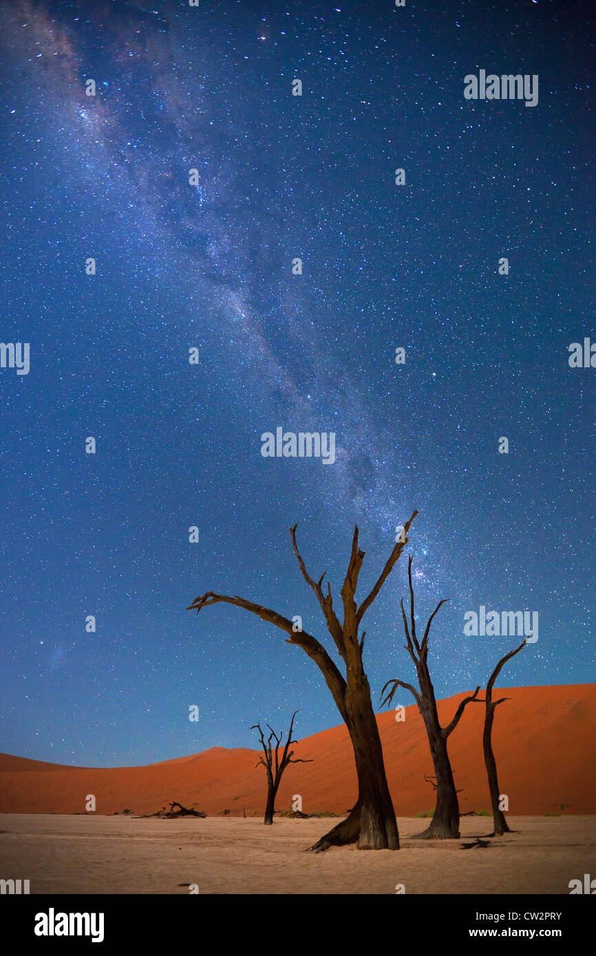 Milky Way over Dead Vlei,Soussvlei,Namibia Stock Photo