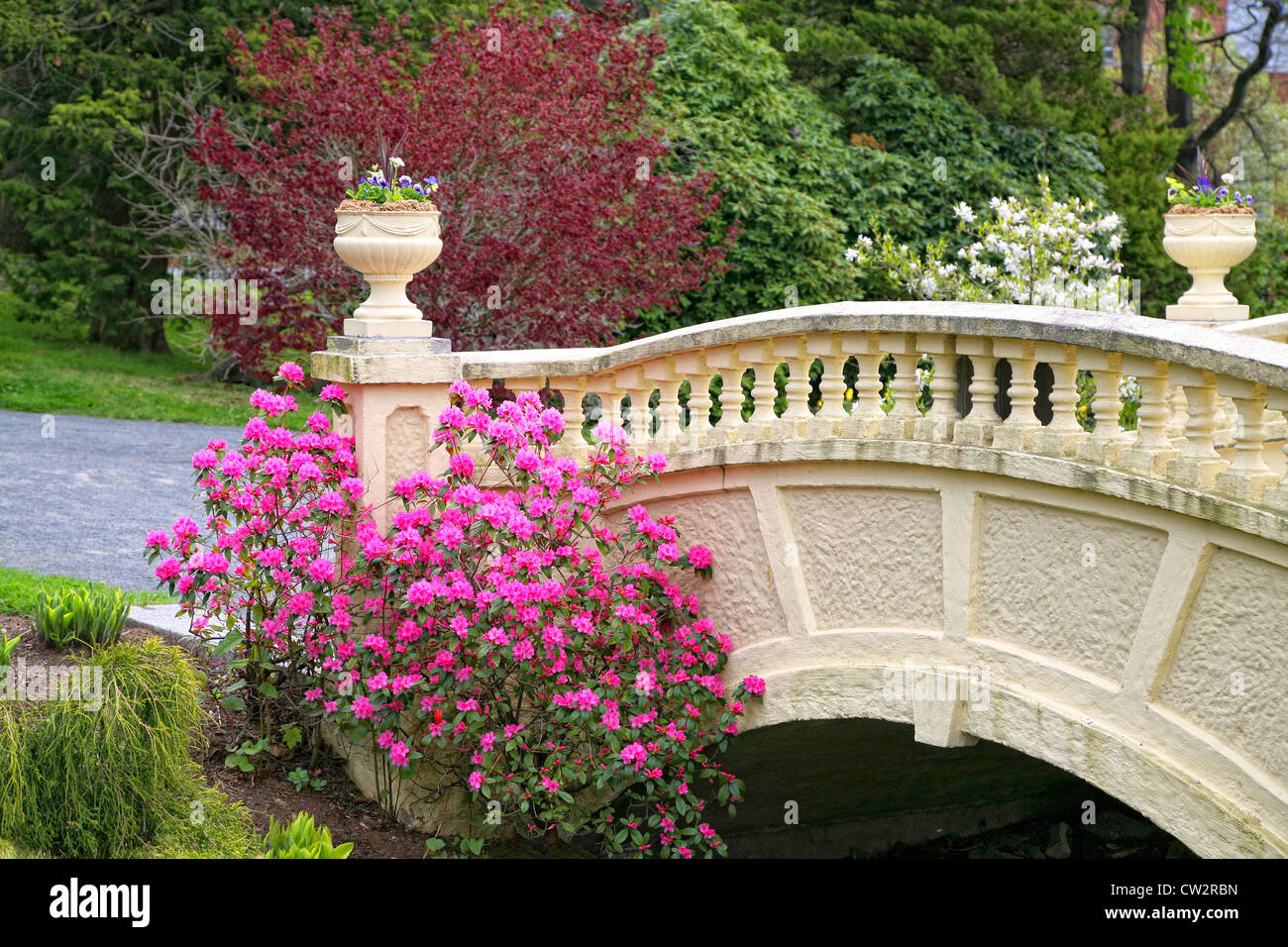 A PJM rhododendron and annual flowers adorn a garden bridge in a springtime park. Stock Photo