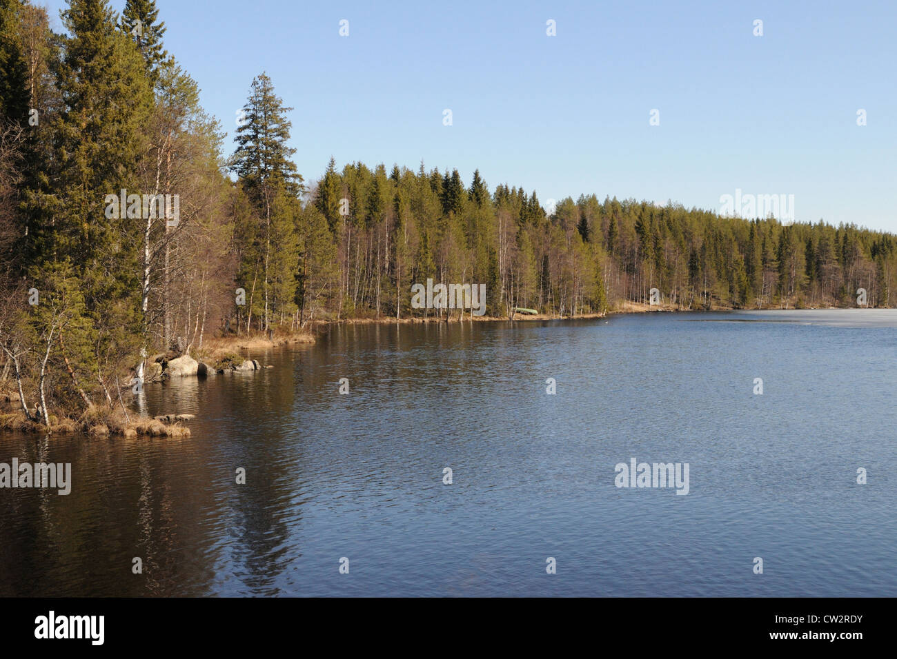 typical lake in Karelia in the coniferous forest, Stock Photo