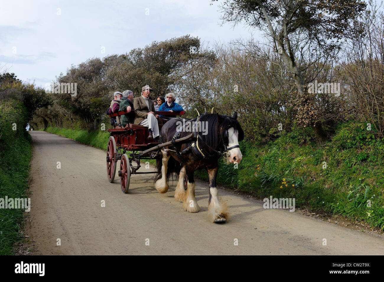 horse Car, Isle of Sark, Channel Islands Stock Photo