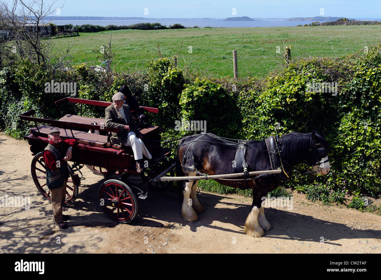 Horse.car on Little Sark, ,Isle of Sark, Channel Islands Stock Photo