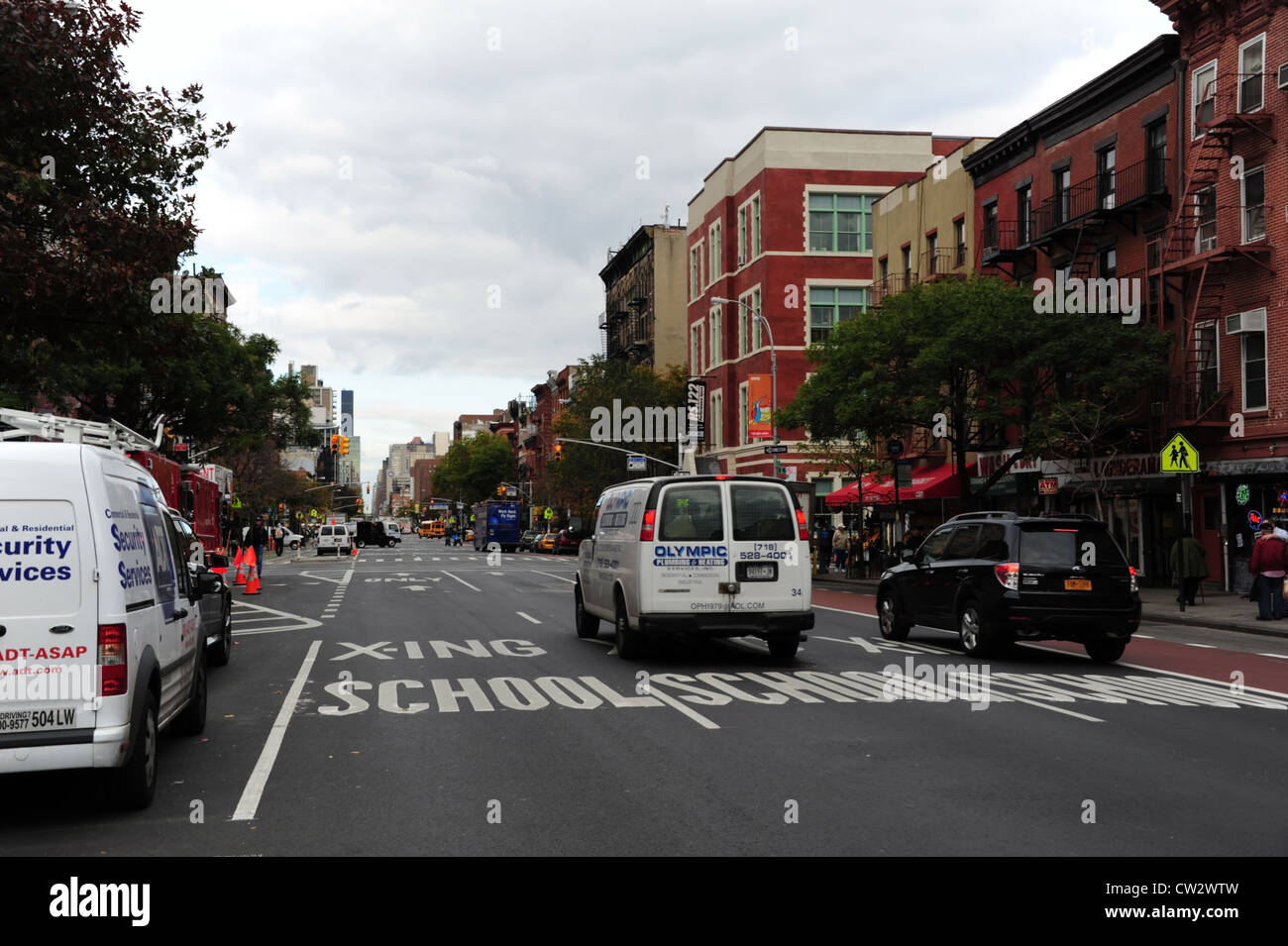 Several green trees standing rising roadsides hires stock photography and images Alamy