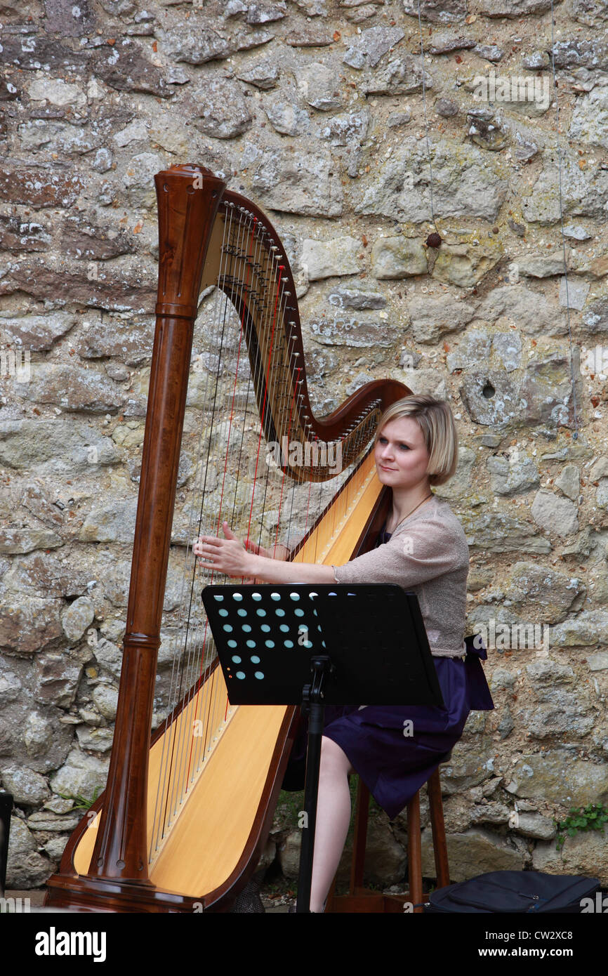 harpist playing a harp Stock Photo Alamy