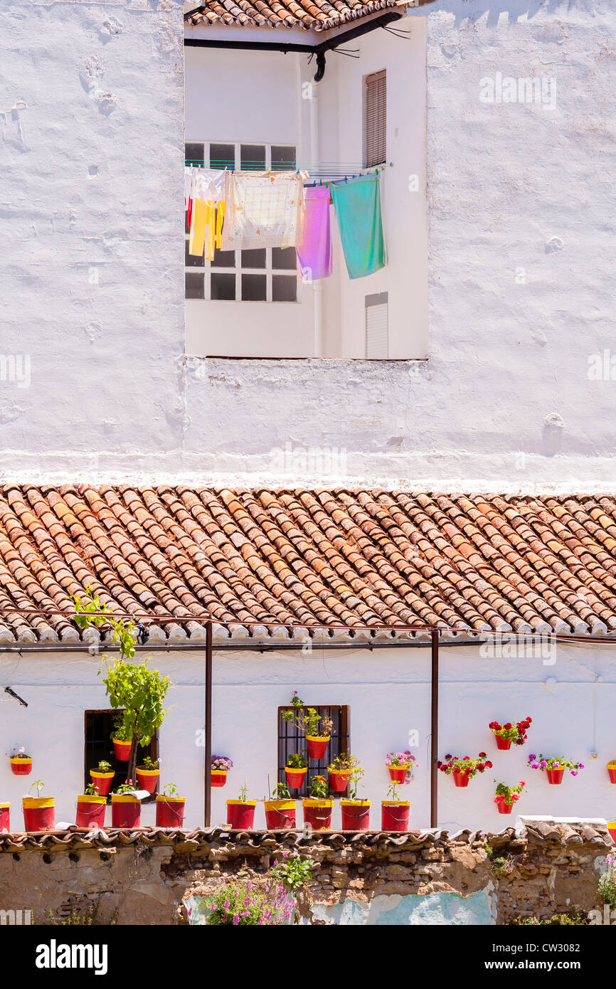 Ronda, Andalusia, Spain, Europe. Traditional white washed house with colourful plant pots and washing on line. Stock Photo