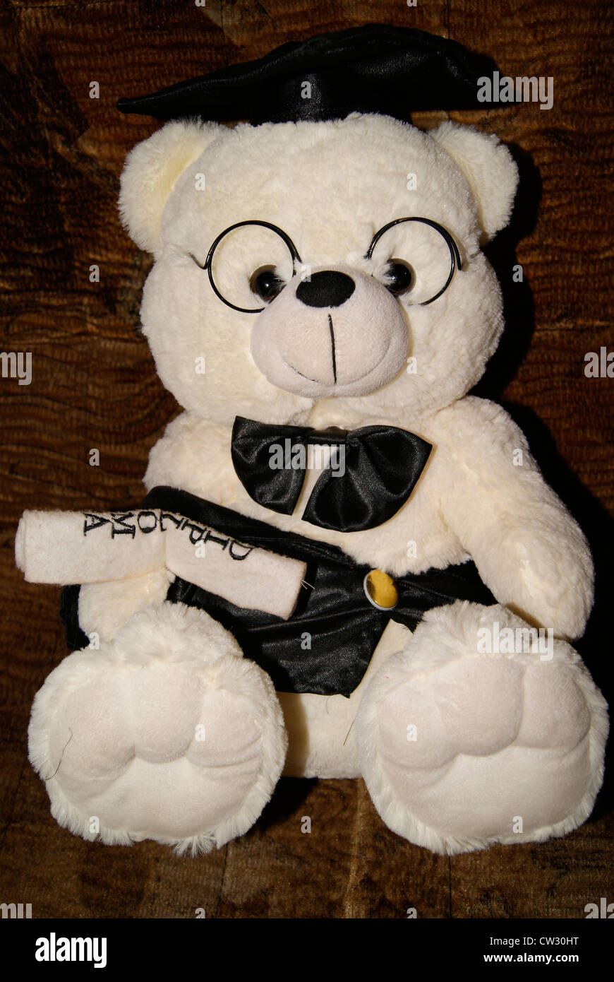 teddy bear with specs