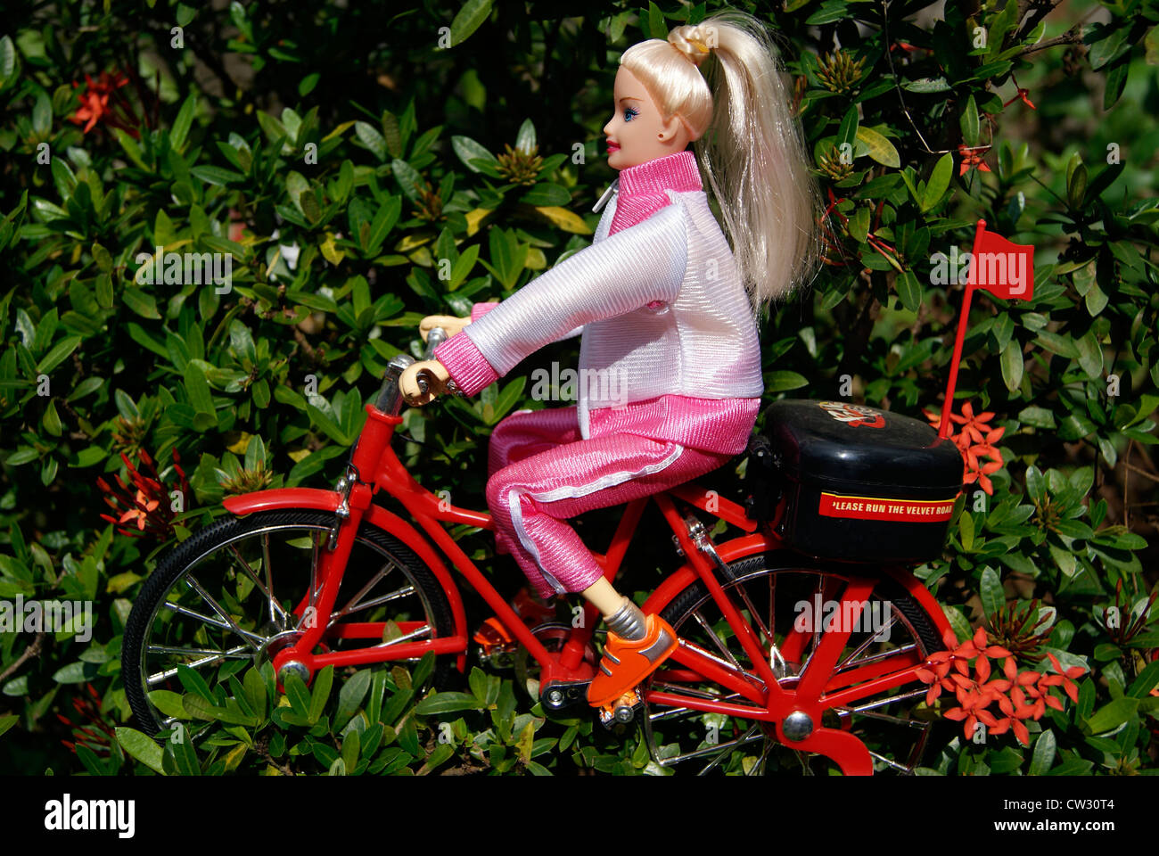 Barbie Doll Girl Riding cycle.Toy girl Rides bicycle through the Garden Scenery concept of toy Kids stories Stock Photo
