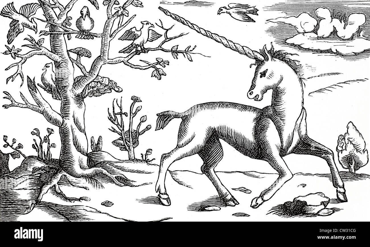 The unicorn Stock Photo