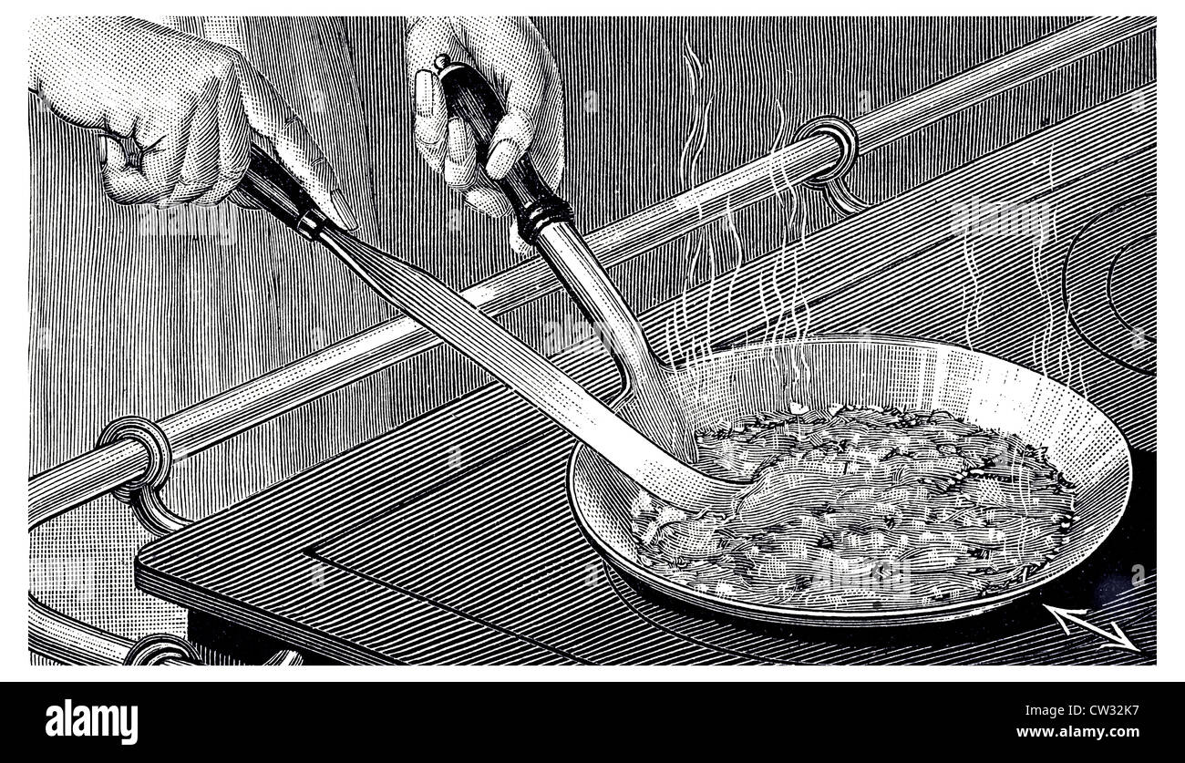 Illustration of snakes hi-res stock photography and images - Alamy