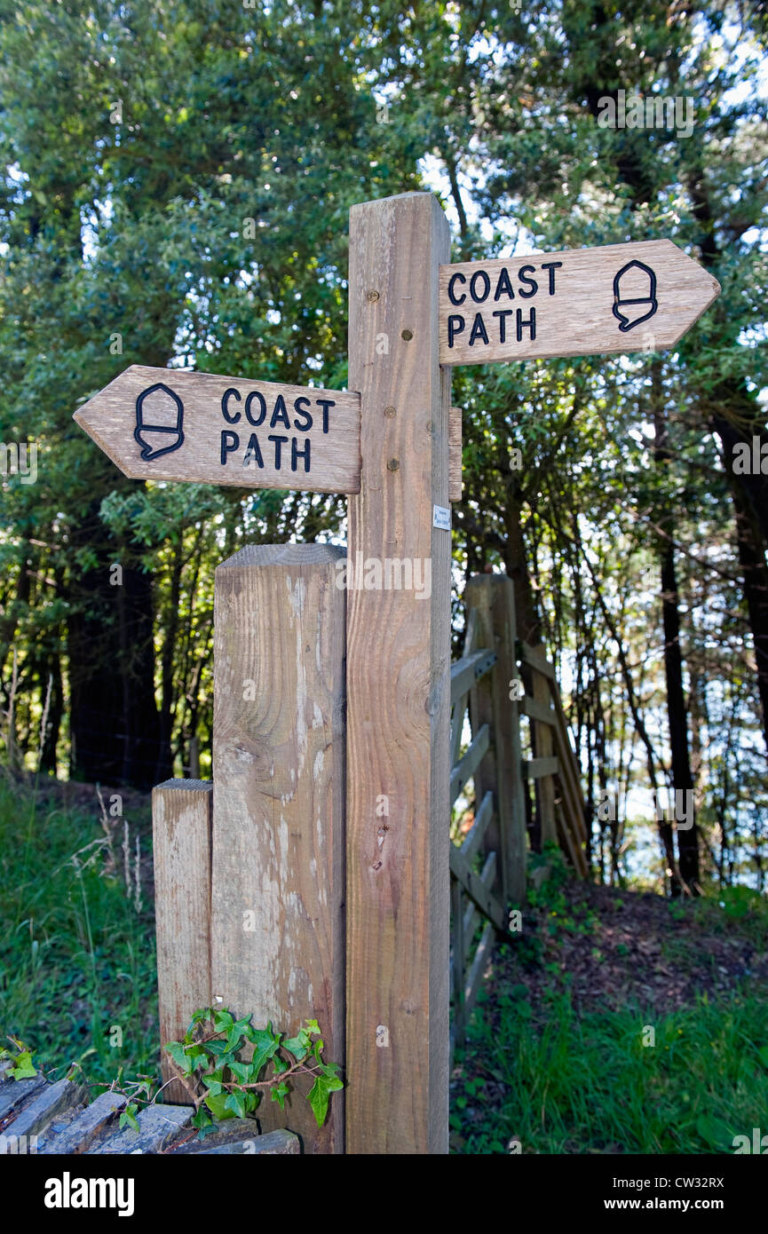 Devon pathway hi-res stock photography and images - Alamy