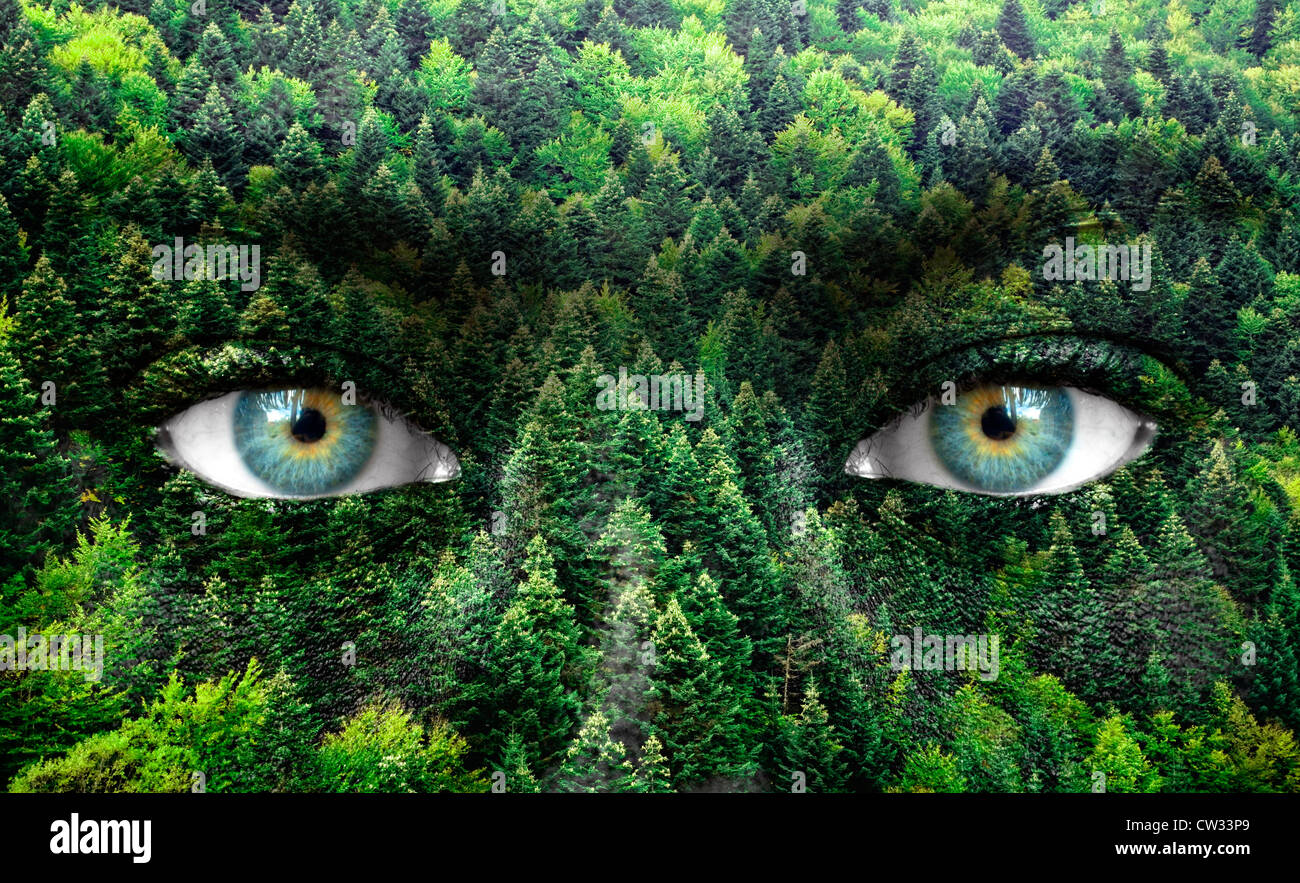 Green forest and human eyes - Save nature concept Stock Photo - Alamy