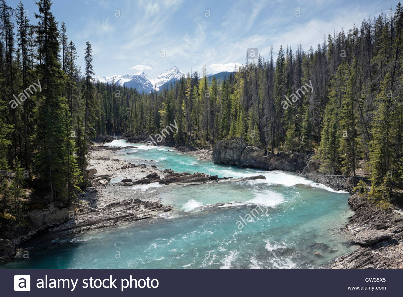 Canada Bc Yoho National Park High Resolution Stock Photography and ...