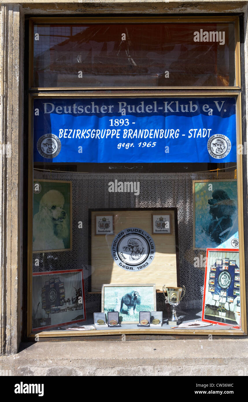 Brandenburg / Havel - showcase of the German Poodle Club Stock Photo