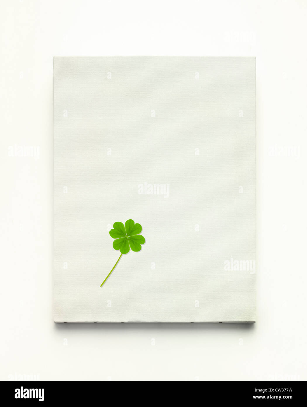 Four leafed clover on the canvas Stock Photo