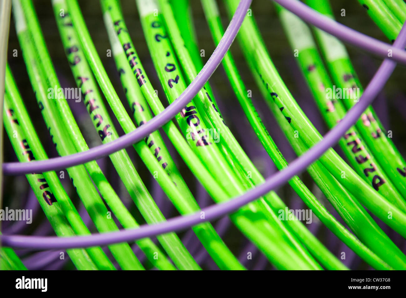 cables in television studio Stock Photo Alamy