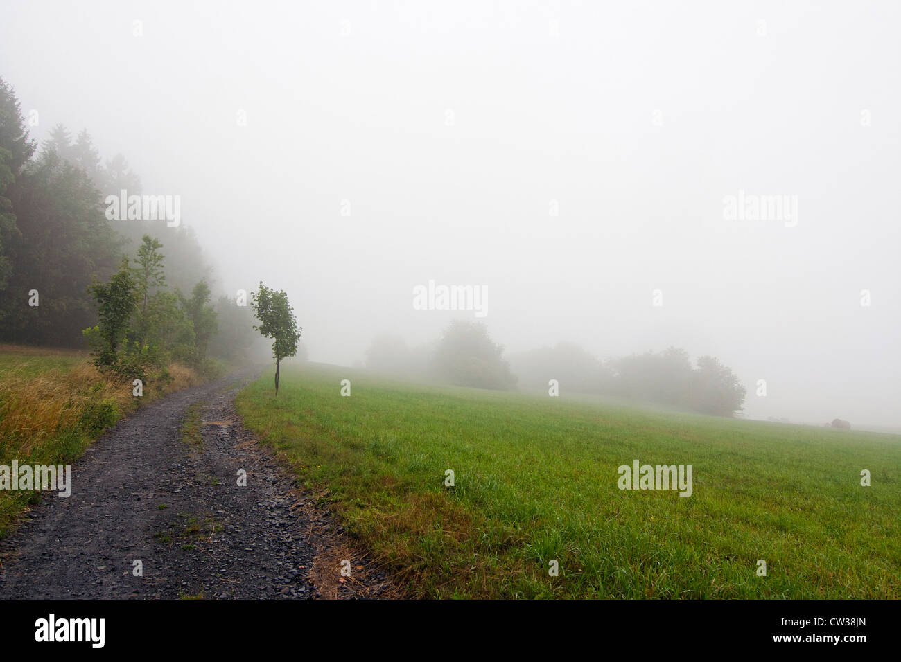 misty landscape - meadow and country road Stock Photo