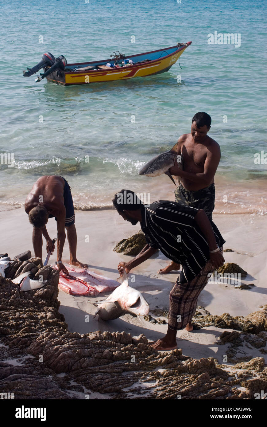 Shark fishermen on the Qalansiya Beach, Socotra Island, Yemen,  Western Asia, Arabian Peninsula. Stock Photo